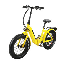 20 Inch Customized High Power Portable Fat Tire Folding Electric Bike City Bicycle